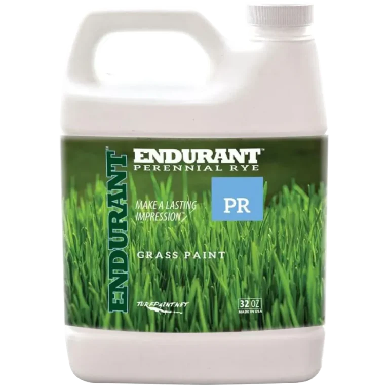 Endurant perennial rye
