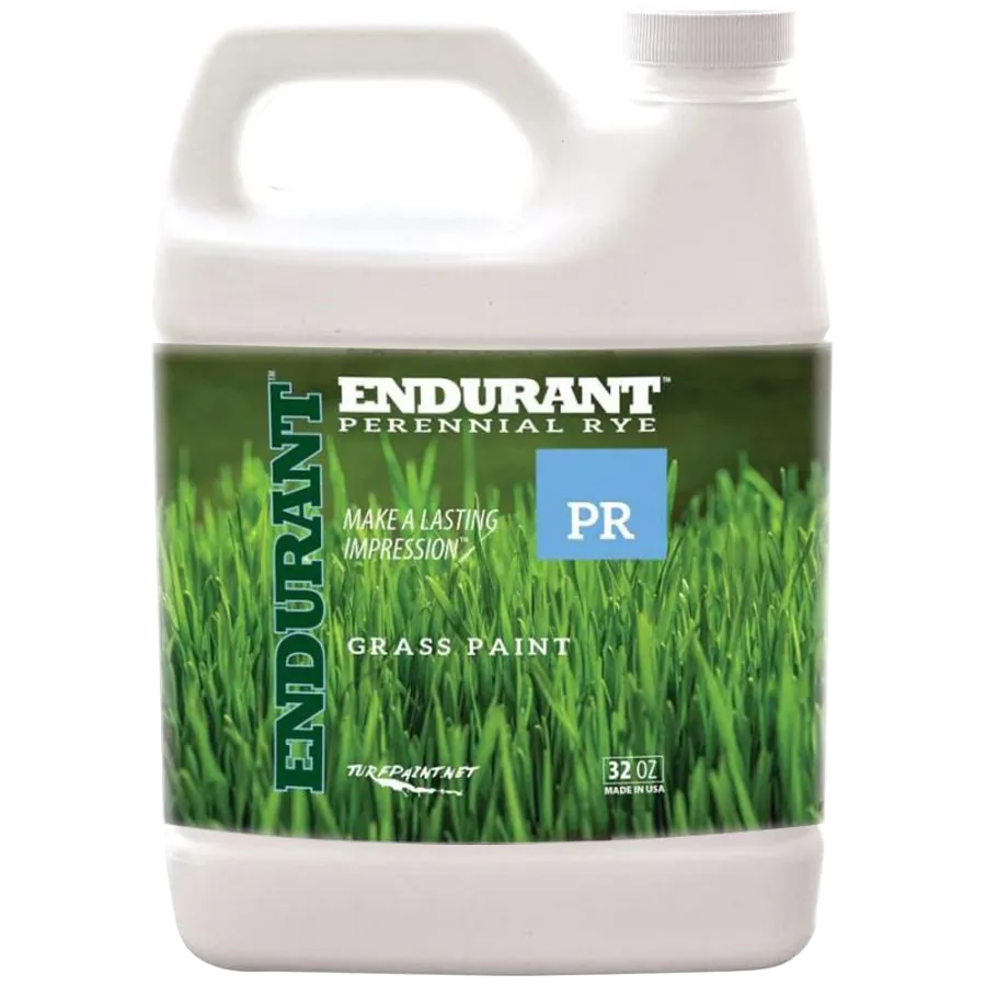 Endurant perennial rye